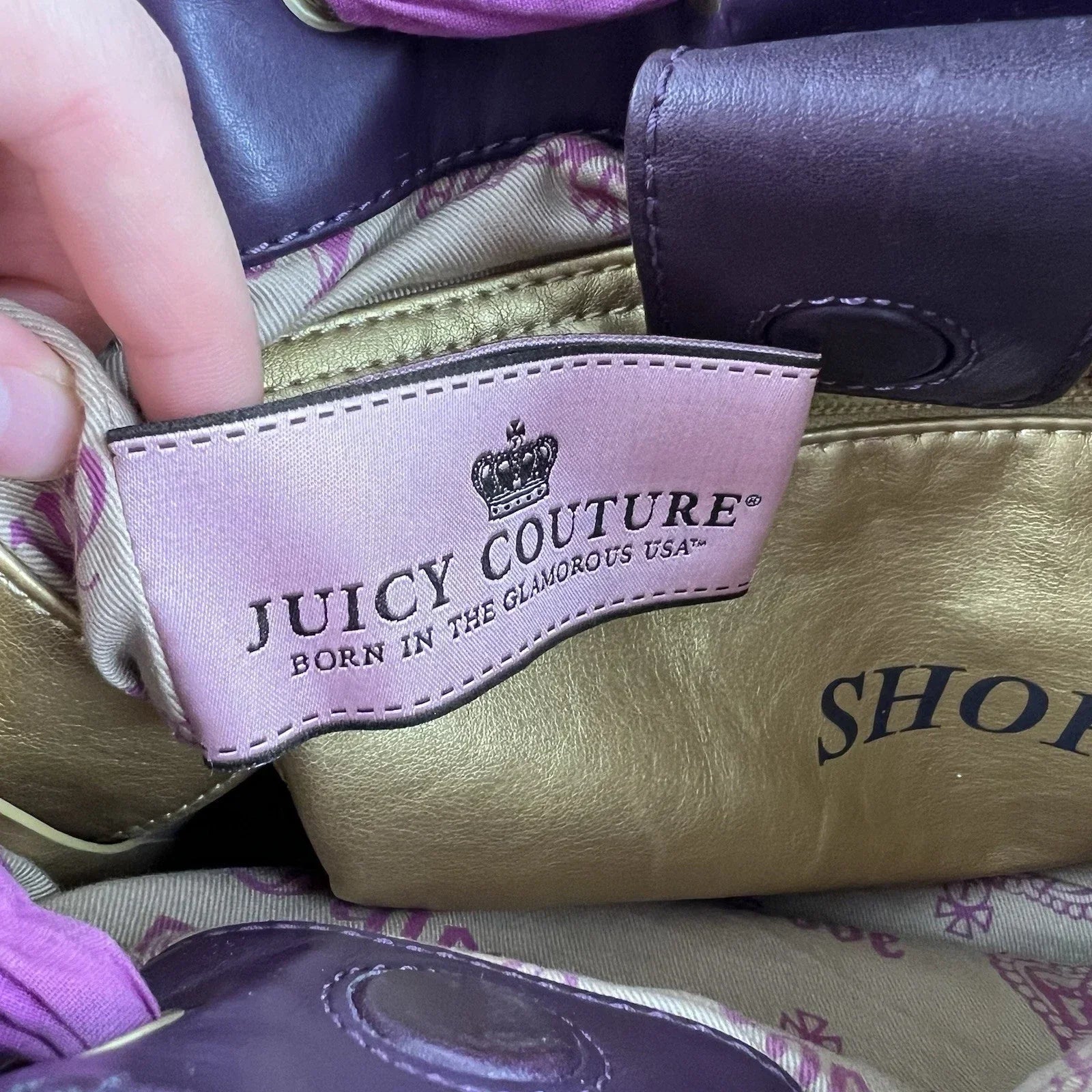 RARE Vintage JUICY COUTURE Y2K Daydreamer Black Velour Bag Royal Purple